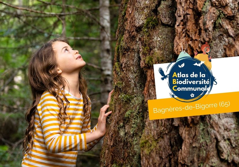 112400visuel-enfant-observation-avec-logo_web.jpg