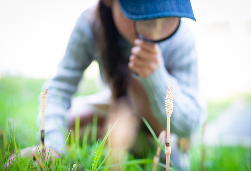 170752enfants-observation_web.jpg