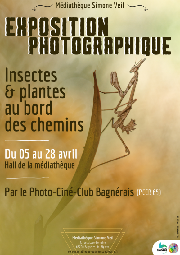084050insectes-et-plantes-au-bord-des-chemins.png