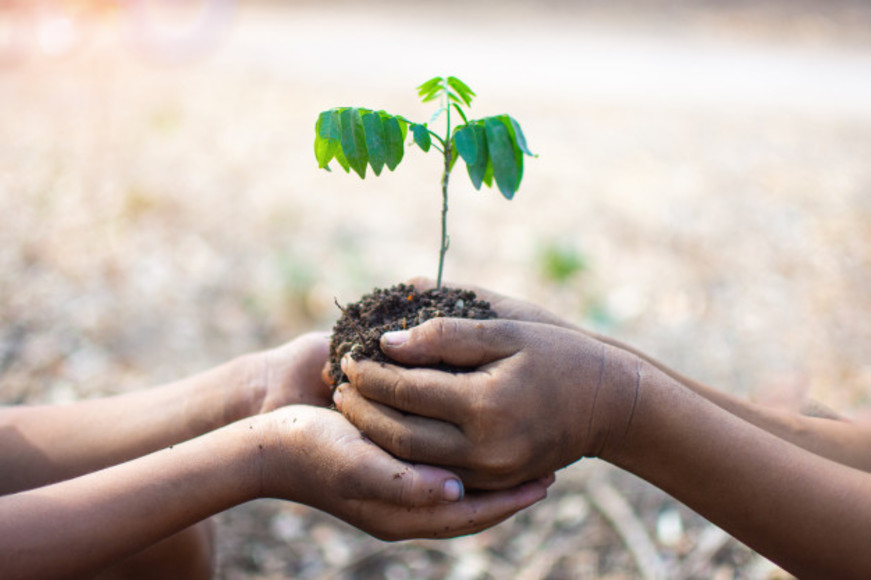 114514main-enfants-tenant-plantes-du-sol-bokeh-fond-nature_33811-555.jpg