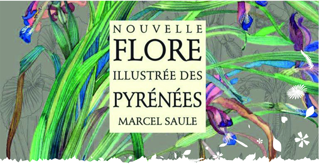 132653lancement-flore-marcel-saule-1.jpg