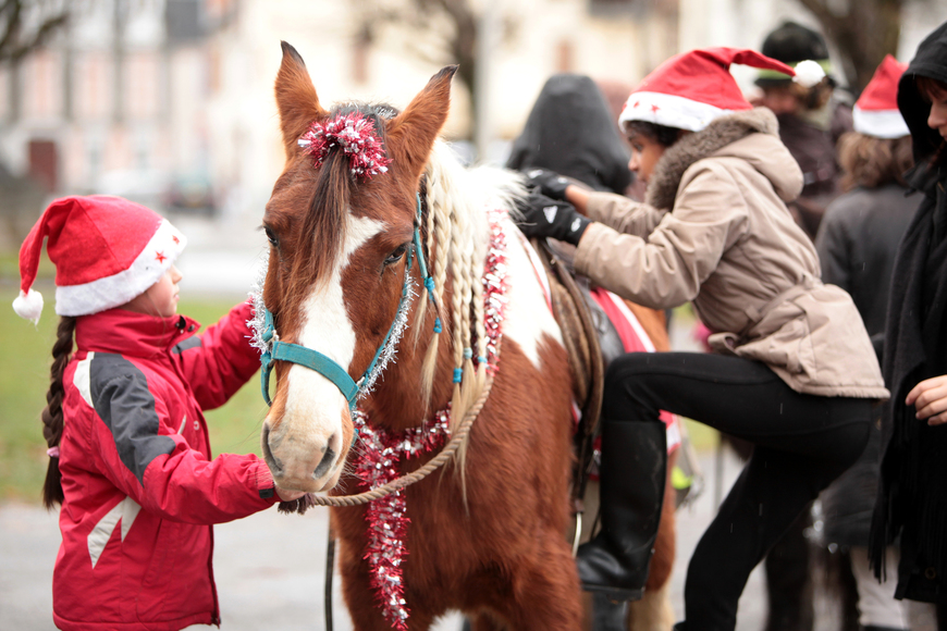 152019140653140957poney_noel.jpg