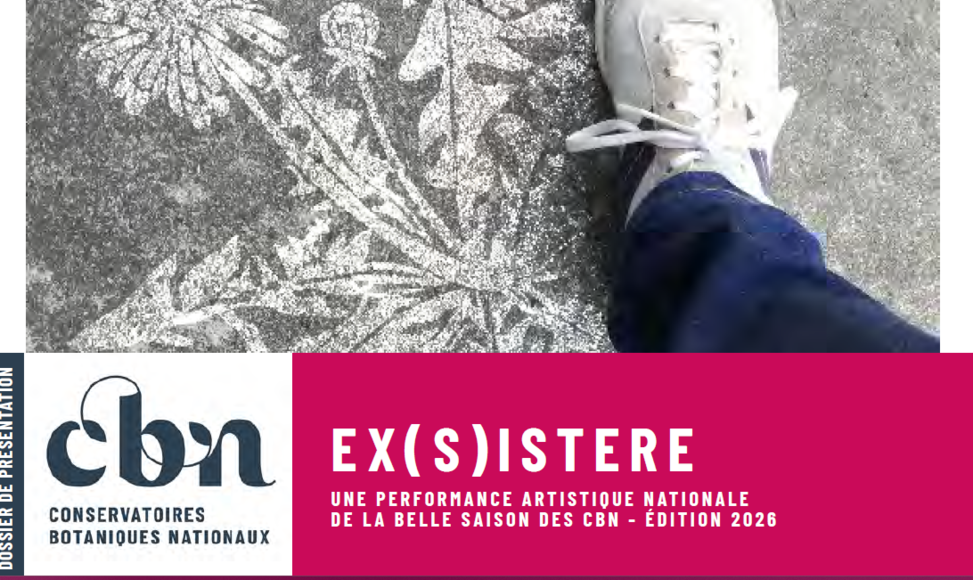 160045capture-decran-2026-05-11-155712.png