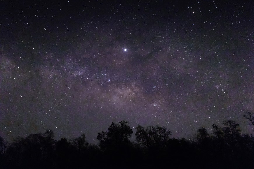 173256sky-full-of-stars-and-silhouettes-of-trees-below.jpg