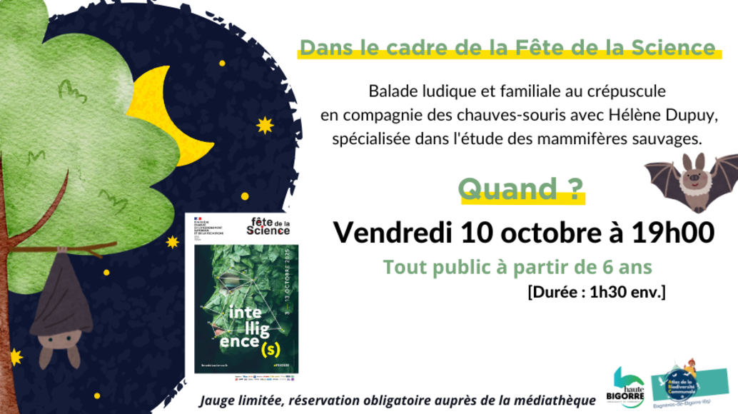182927900x505-px-pour-agenda-ville-et-cchb.png