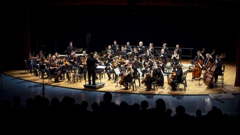 ORCHESTRE SYMPHONIQUE TOULOUSE - HALLE AUX GRAINS (Copier)