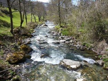 Adour à Galade 2.JPG