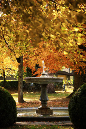 Fontaine du parc de la mairie