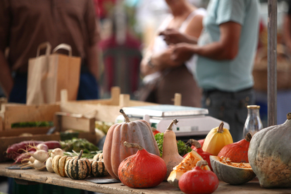 170059marche-bio-2009---place-du-foirail-9.jpg